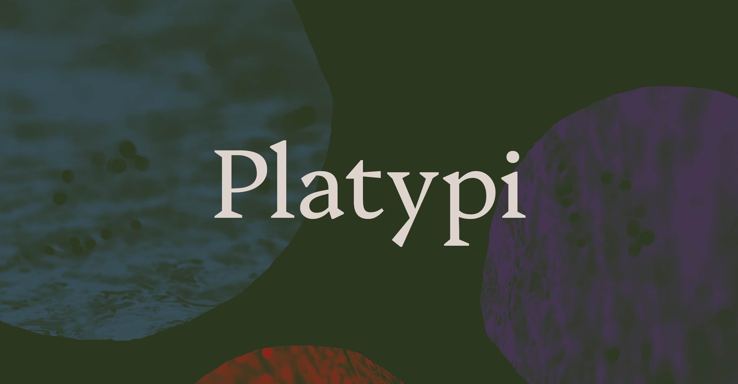 Czcionka Platypi